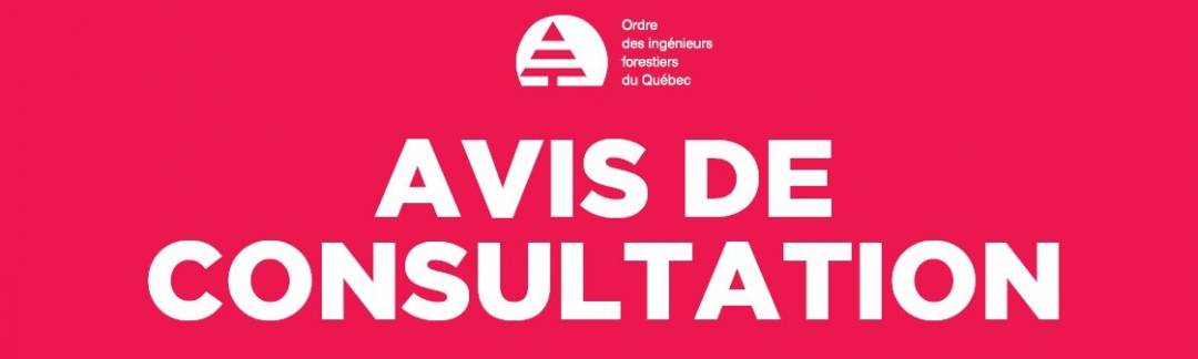 Visuel Avis consultation seul