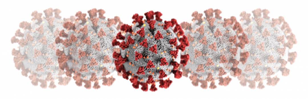 covid 19 virus